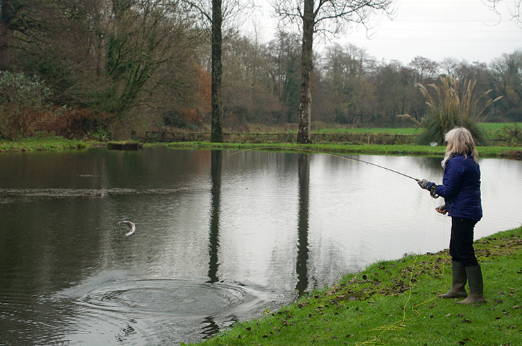 Fishing for Trout in a trout farm