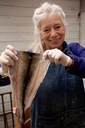 Trout freshly skinned, the orange colour fades during tanning