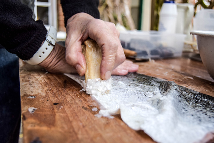 Descaling Salmon skin with a bone tool